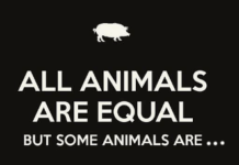 Υψηλόβαθμο στέλεχος της Βουλής θα λάβει ως εφάπαξ το αστρονομικό ποσό των 550.000 ευρώ!