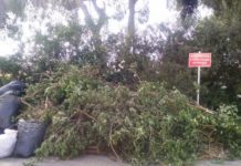 Εικόνα συμπεριφοράς Ευρωπαίων, «συνειδητοποιημένων» συμπολιτών που γράφουν τις Αρχές στα αρχ… τους.