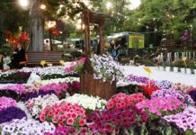 Απόηχοι της Ανθοκομικής.