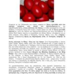 Αρχαίο-Ελληνικό-Έθιμο-Το-Βάψιμο-Και-Σπάσιμο-Των-Αυγών-pdf-212×300