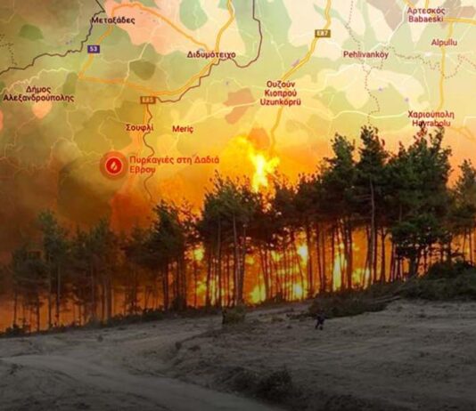 ΑΠΟΚΑΛΥΨΗ: ΠΩΣ εν ΚΡΥΠΤΩ καίνε τα δάση και «Φυτεύουν» Ανεμογεννήτριες-Οι περιπτώσεις Δαδιάς και Πάρνηθας.