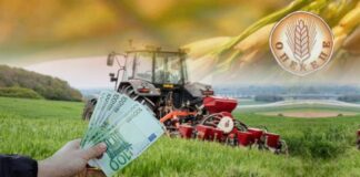 Λεηλασία του Δημόσιου Ταμείου και δεν κουνιέται Φύλλο!