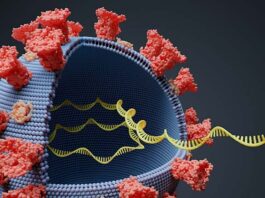 China is now Claiming it will reveal its strongest proof yet that Covid‑19 didn’t start in Wuhan, but in the USA.