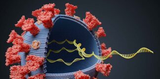 China is now Claiming it will reveal its strongest proof yet that Covid‑19 didn’t start in Wuhan, but in the USA.