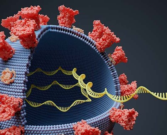 China is now Claiming it will reveal its strongest proof yet that Covid‑19 didn’t start in Wuhan, but in the USA.